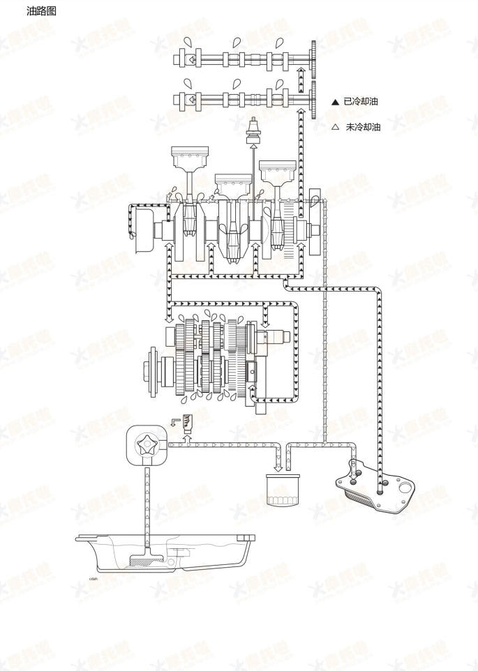 2024-2025 Triumph 765 Street Triple RS 凯旋维修手册简体中文全车线路图故障代码分析扭矩维修DIY工具