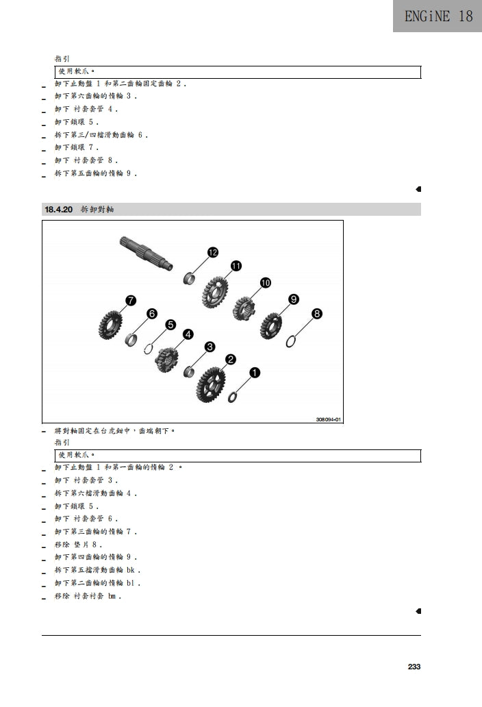 2022 Husqvarna Svartpilen 401維修參考資料（含英文原文與繁體譯文，含扭矩、電路、故障碼）