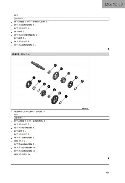 2022 Husqvarna Svartpilen 401維修參考資料（含英文原文與繁體譯文，含扭矩、電路、故障碼）