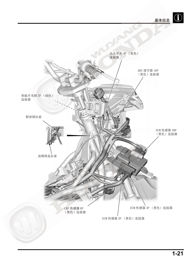 2021 本田PCX160维修手冊資料全车线路图故障代码分析扭矩维修DIY工具