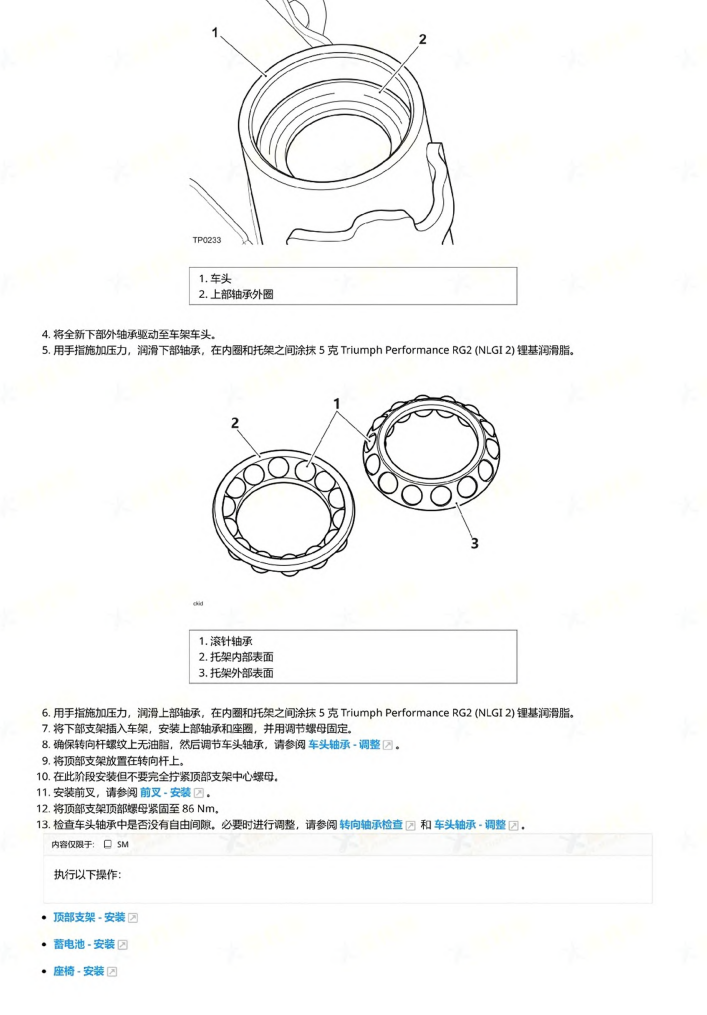 Triumph Speed 400 凯旋手冊维修資料简体中文全车线路图故障代码分析扭矩维修DIY工具